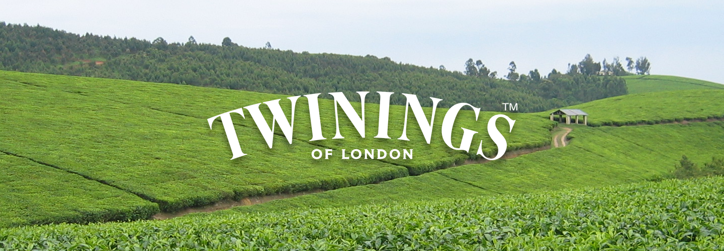 Twinnings Mint tea