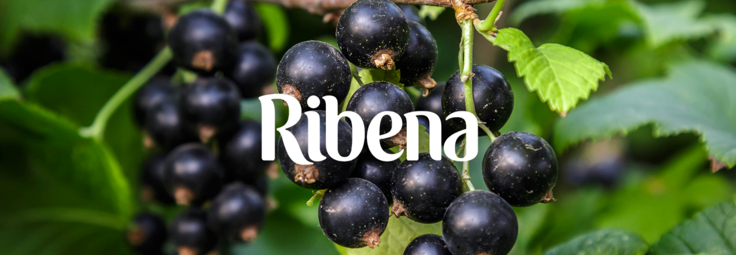 Ribena