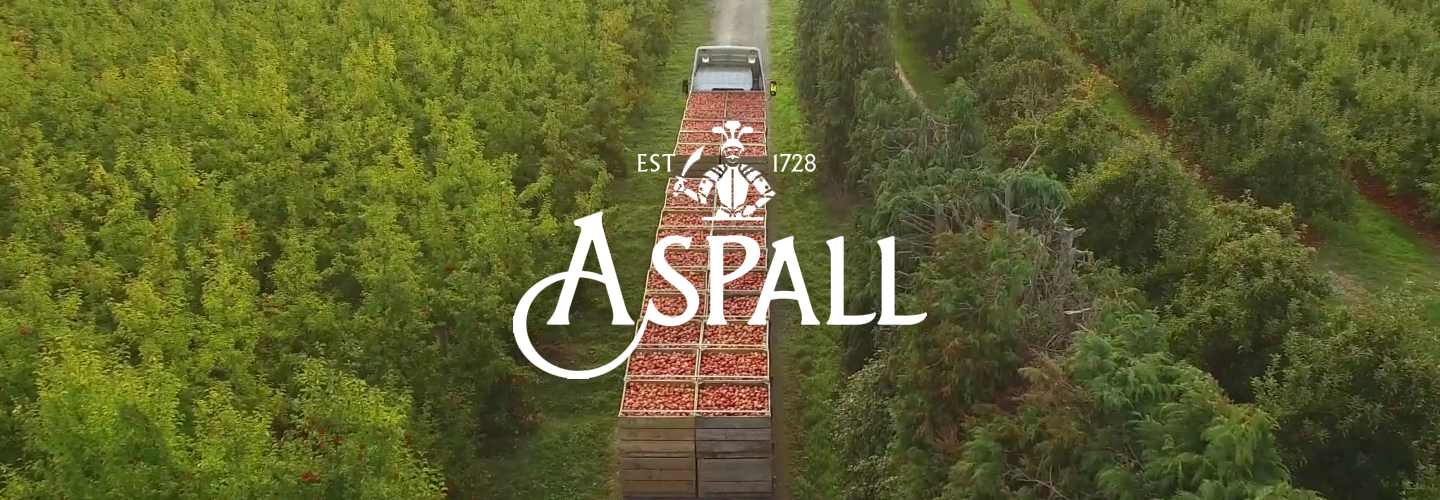 Aspall's Red Wine Vinegar